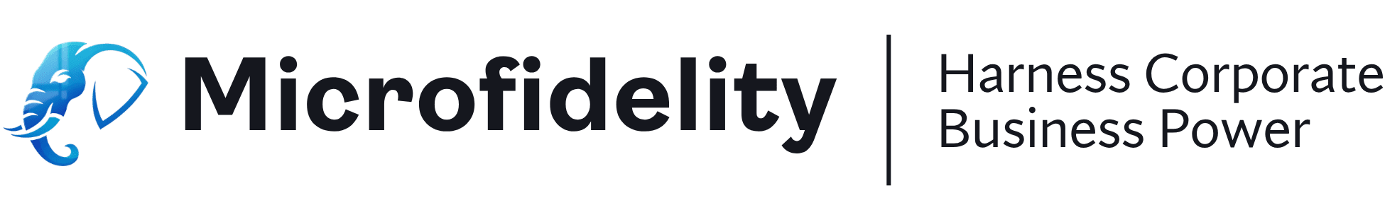 Microfidelity